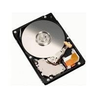 Origin storage 250GB Bare 2.5  5400RPM SATA (NB-250SATA/5)